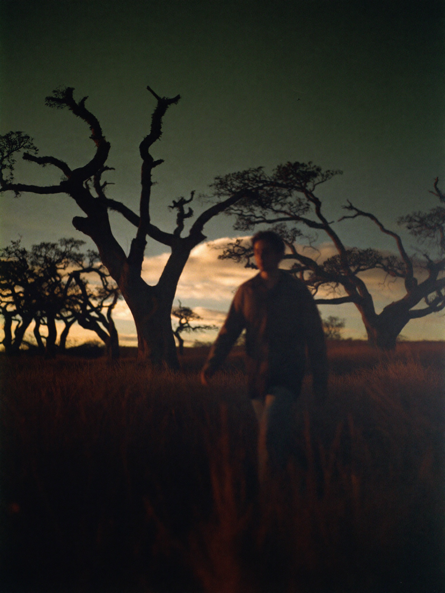 golden-03-man-trees.png